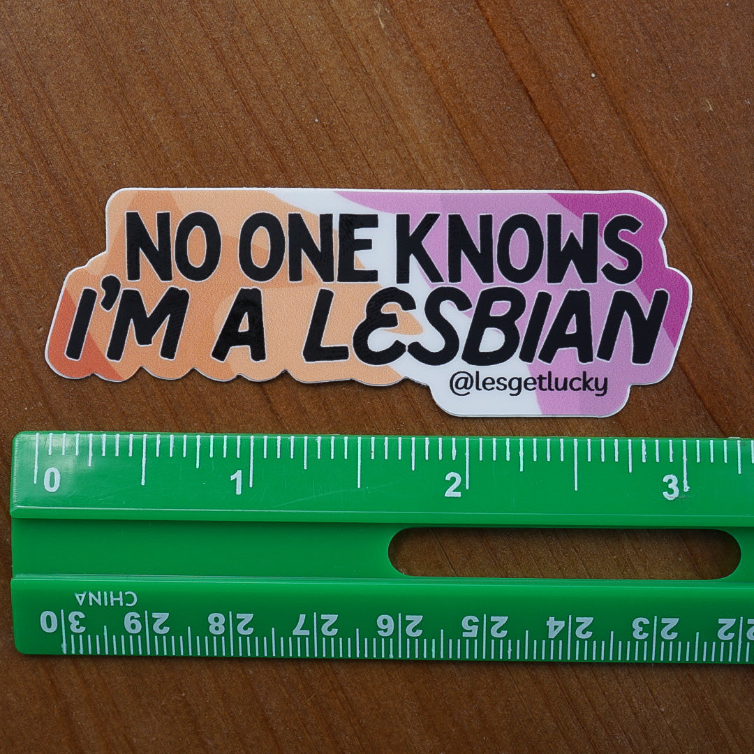 LGBTQ+ Sticker | Pride Accessories | Lesbian, Gay, Bisexual Merch | Car, Bottle, Laptop Sticker