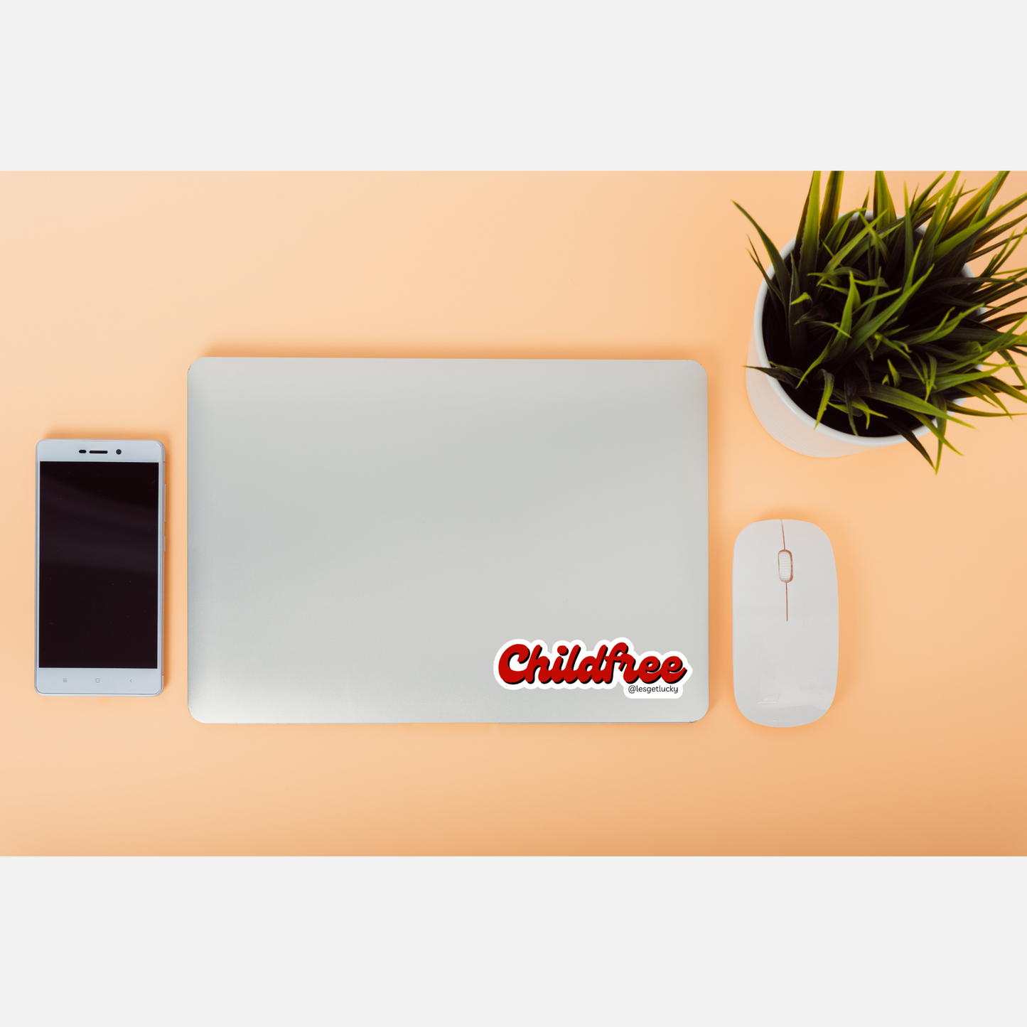Double Income, No Kids Vinyl Sticker | DINK Accessories | Car, Bottle, Laptop Sticker