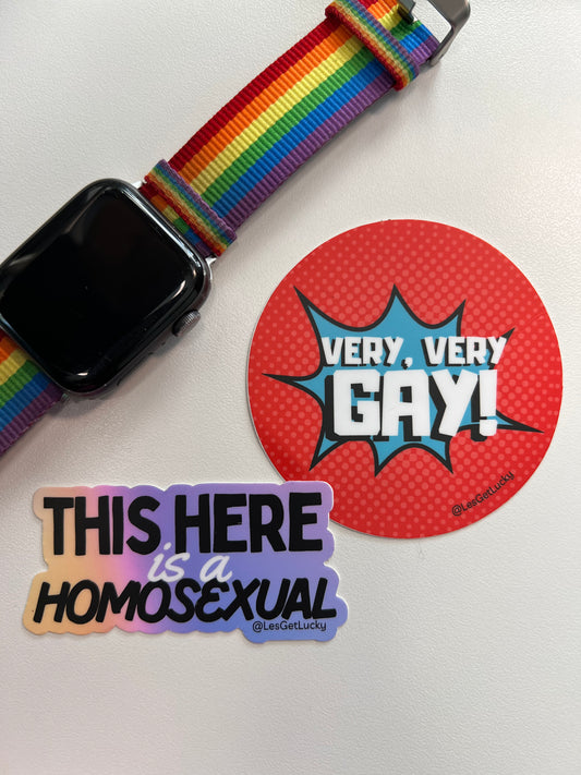 Gay Pride Sticker Mini Bundle | LGBTQ+ Vinyl Stickers | Pride Accessories